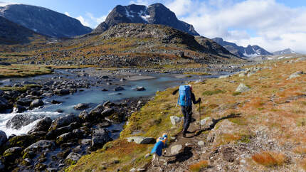 Wandern mit Hund, Tourenplanung und Ausrüstung 