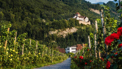 Unterwegs auf dem Liechtenstein Weg