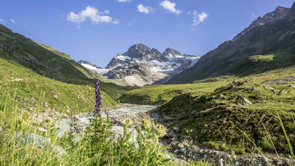 Österreich Vorarlberg Montafon Piz Buin Alpen