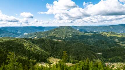 Schwarzwald Renchtalsteig