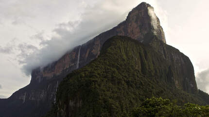 Roraima_Tepuis_2010 (jpg)