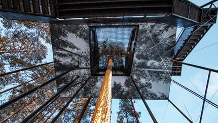 OD-treehotel-schweden-7th-room-2 (jpg)