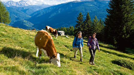 OD 0610 Südtirol Kronplatz 7