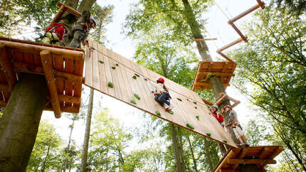 OD Klettersteig im Wald: Hochseilgarten