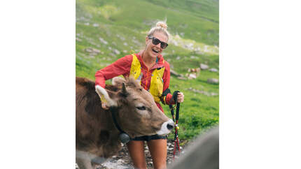 GettyImages/Milo Zanecchia/ Ascent Xmedia: Trailrunner steigen den Bergpfad hinauf, neben der Kuhherde