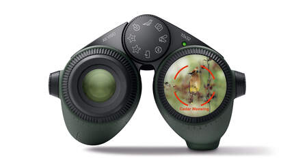 Swarovski Optik AX Visio Fernglas 2024