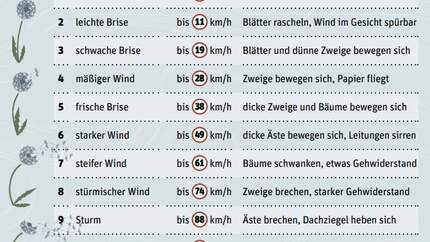 Windgeschwindigkeiten im Überblick