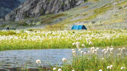 OD Rondane Nationalpark Norwegen Touren