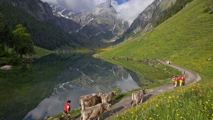 OD Saentis Appenzeller Land 2013