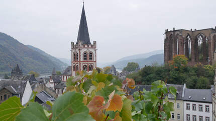 Weinwandern auf dem Rheinburgenweg - Bacharach