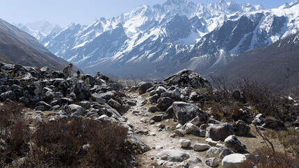 Trekking Langtang - Himalaya