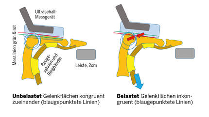 IRCRA Klettern Wissenschaft