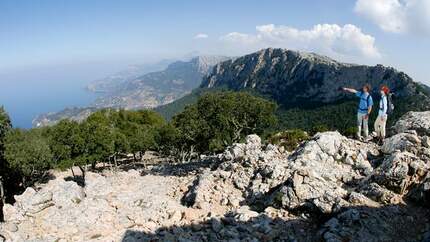 OD 0408 Mallorca Tramuntana