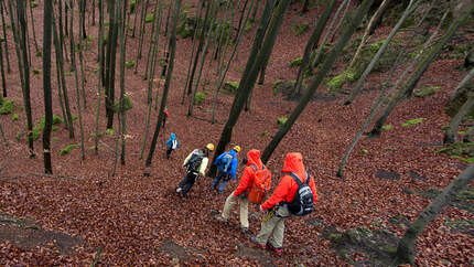 OD 2013 Gore Tex Pro Testacademy Fränkische Schweiz