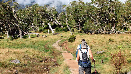 OD La Reunion Wanderweg