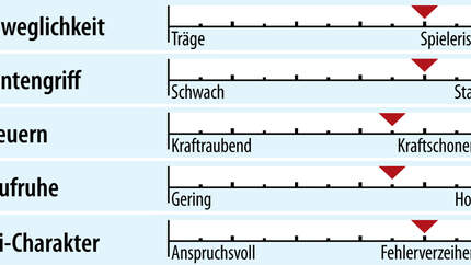 od-2018-slalomcarver-fahreigenschaft-kaestle-rx12-sl (jpg)