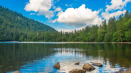 od-2018-deutschland-seen-feldsee-COLOURBOX10508069 (jpg)