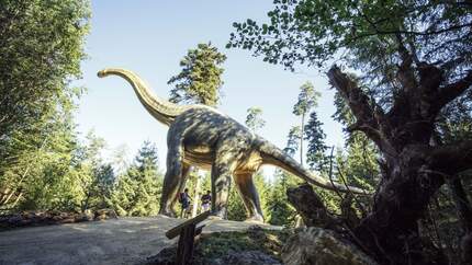 od-2019-bayern-family-npa-0367-naturpark-altmuehltal-dinosaurier-museum(jpg)