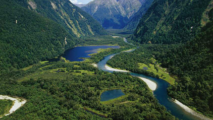 New Zealand, South Island, Te Wahipounamu, Fiordland National Park, Milford Track, river Arthur