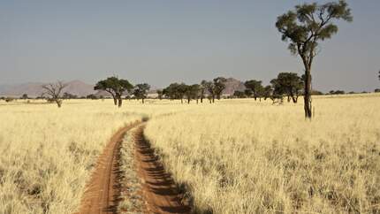 Outdoor-Abenteuer in Namibia