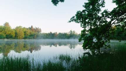 Wanderregion Drenthe in den Niederlanden