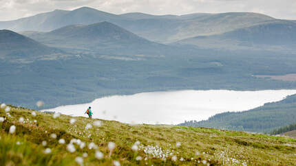 Schottland, Cairngorms