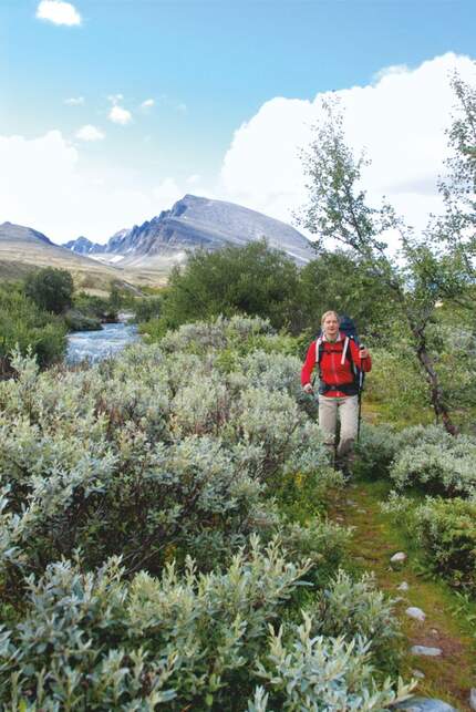 OD Rondane Nationalpark Norwegen Touren