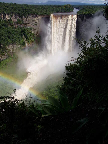 OD 2017 Wikimedia Commons Guyana Kaieteur Falls Wasserfall Tropen