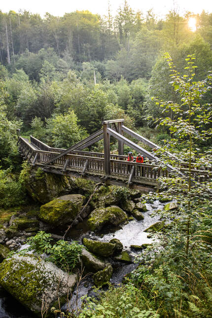 Trekking im Frankenwald 