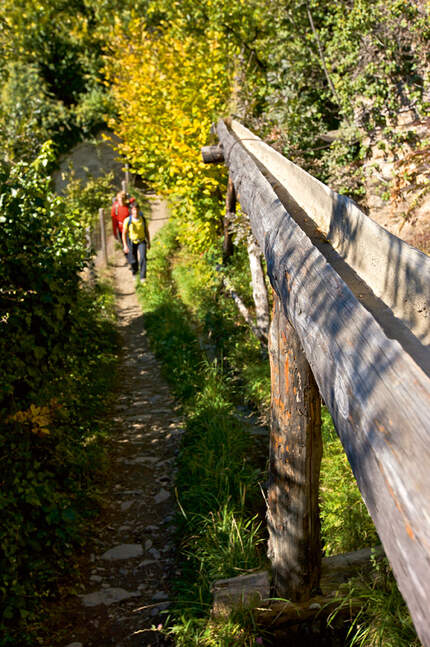 OD Herbstwandern im Vinschgau