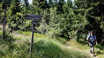 OD 2014 Baiersbronn Schwarzwald Naturwochenende Deutschland