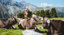 Reisebericht 09/2021: Ortler Höhenweg