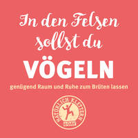 kl-dav-fels-schutz-aktion-klettern-voegeln (jpg)