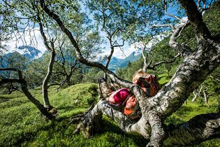 od-0216-norwegen-skandinavien-trekking-Heckmair-3444_100pc_1 (jpg)