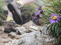od-0517-geislerspitzen-brogleshuette-teaser (jpg)