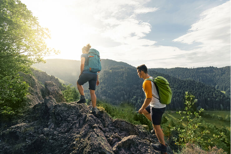 Schwarzwald Ottenhöfen Karlsruher Grat outdoor