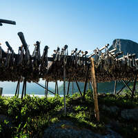 od-0714-lofoten-wandern-003 (jpg)