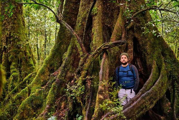 od-1116-neuseeland-milford-sound-2 (jpg)