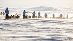 od-2015-fjaellraven-Polar-hundeschlitten-5d (jpg)