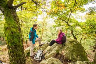 od-2016-rheinlandpfalz-rheinhessen-Hiwweltour Eichelberg2 (jpg)