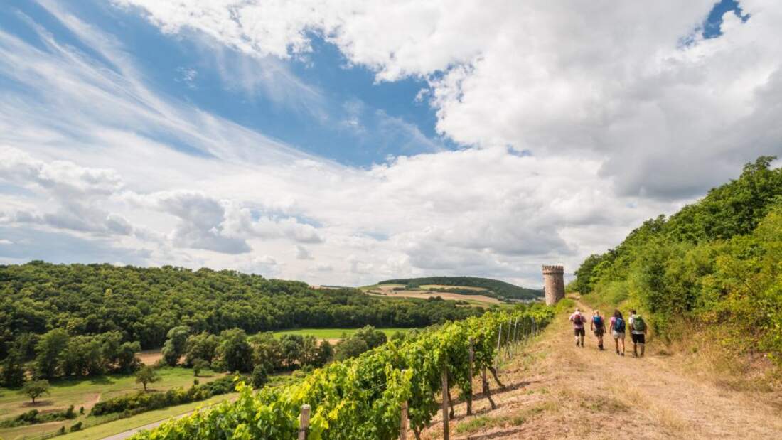 od-2016-rheinlandpfalz-rheinhessen-Hiwweltour Heideblick2 (jpg)