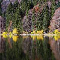 od-2018-Hochschwarzwald-Feldsee im Herbst (jpg)