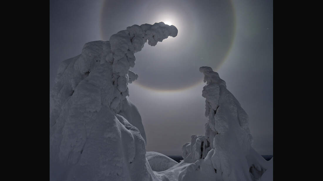 od-gdt-naturfotograf-des-jahres-2015-isomursu-esa-pekka (jpg)
