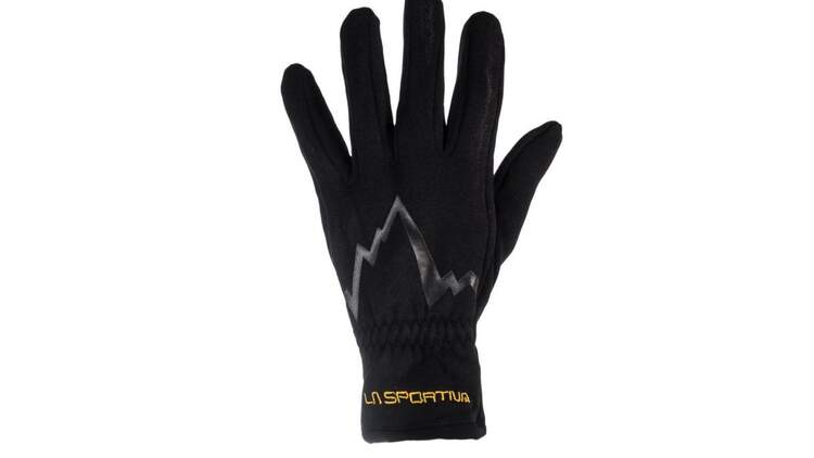 salomon rs pro ws glove