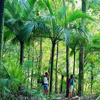 od_neuseeland_Heaphy Track (jpg)